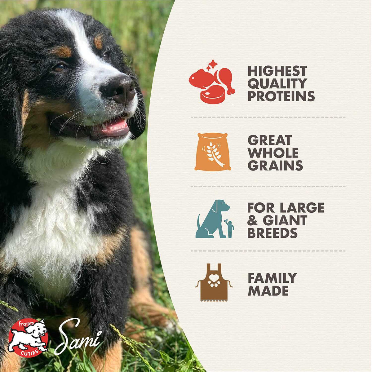 Fromm Gold Dry Dog Food Large Breed Puppy M623348