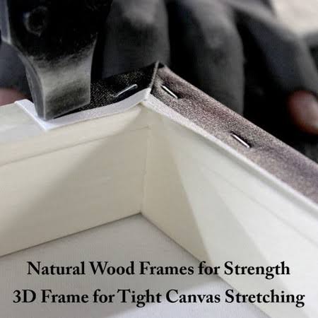 Canvas J48204