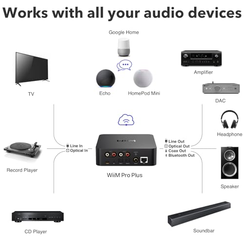 WiFi Multiroom Streamer C42754