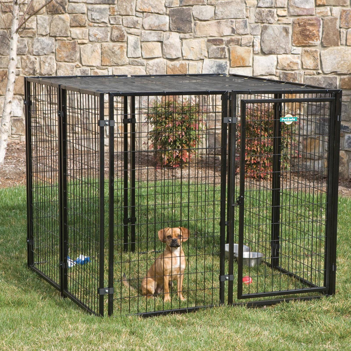 Black Dog Kennel T375650