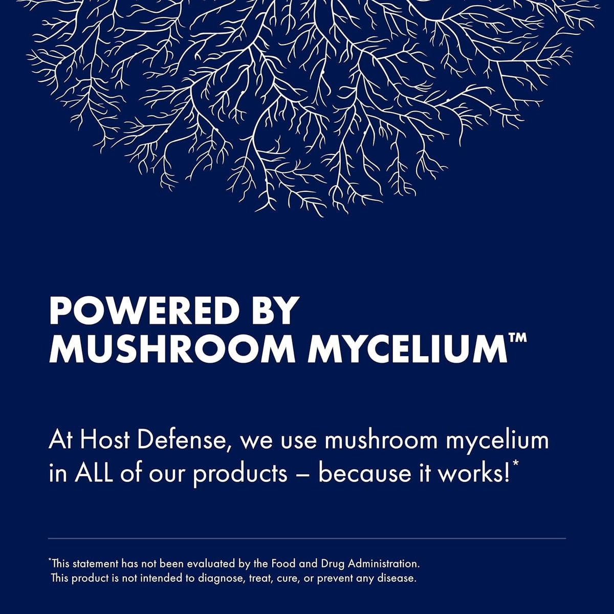 Bundle with Stamets 7 Mushroom Powder 3.5 oz & Lion's Mane Powder 3.5 oz G70798