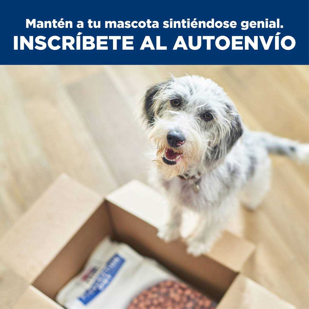 Kidney Care Dry Dog Food with Chicken N36790