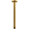 Vertical Shower Arm Brushed Gold W894882