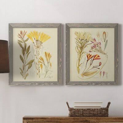 Antique Botanical Sketch Framed Print P690642