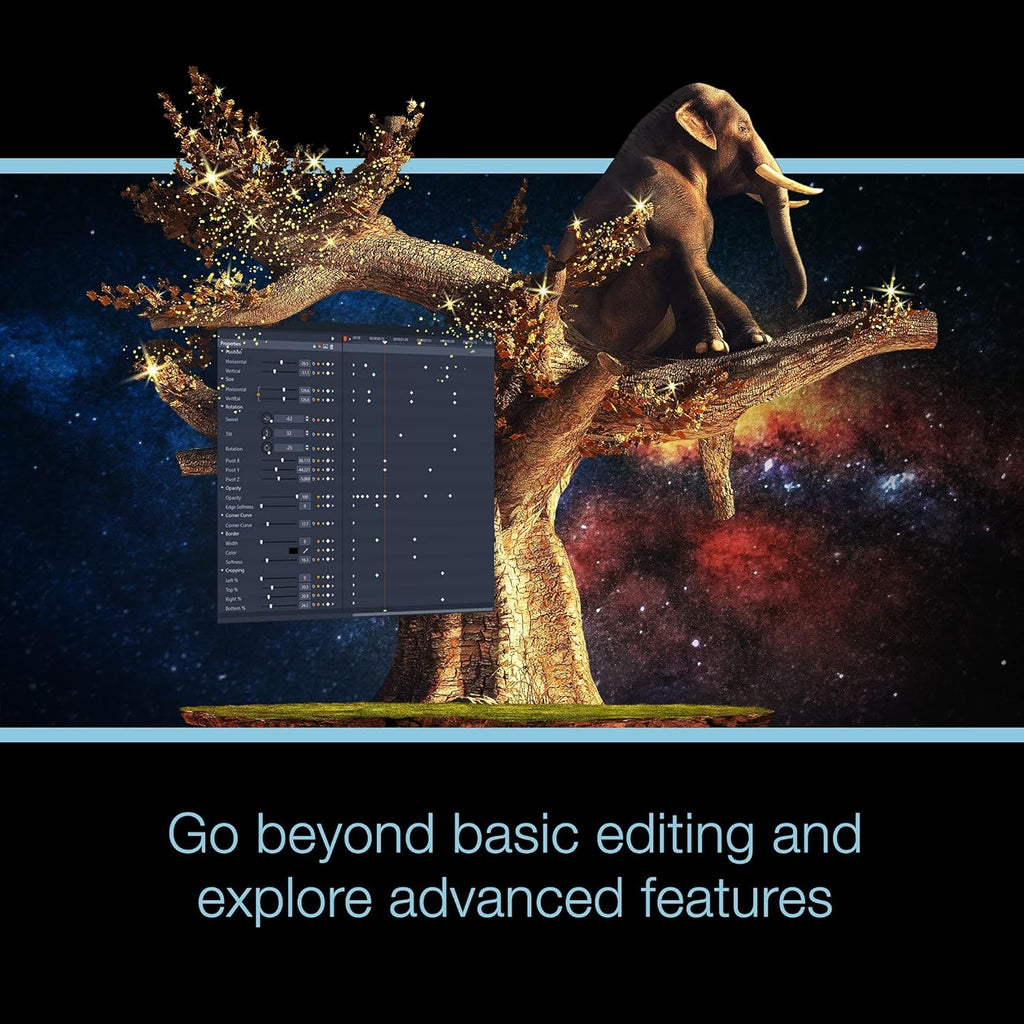 Video Editing & Screen Recording Software [PC Disc] Pack of 2 F602
