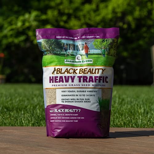 Black Beauty Heavy Traffic Grass Seed 25 lb D190