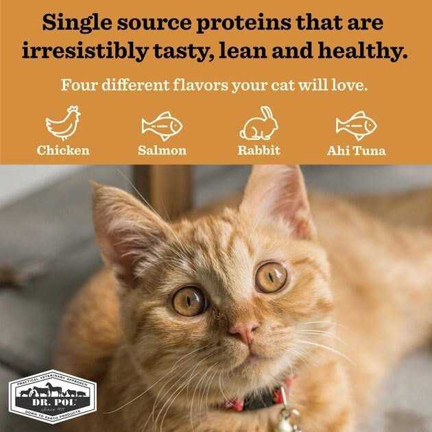 Freeze Dried Salmon Dog Treat and Meal Topper F2542