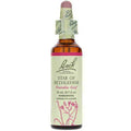 Star of Bethlehem 20ml Y175803
