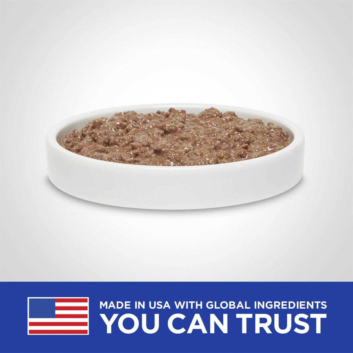 Chicken Cat Food T728