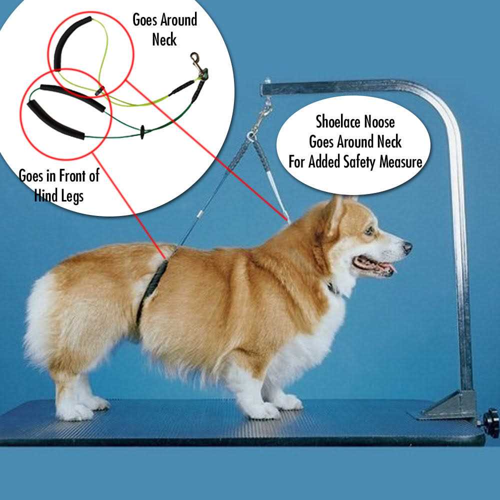 Dog Grooming Arm with Clamp and Grooming Loop O948