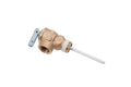 T & P Valve S302570
