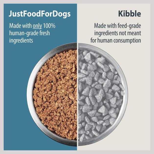 Fresh Frozen Dog Food X8171