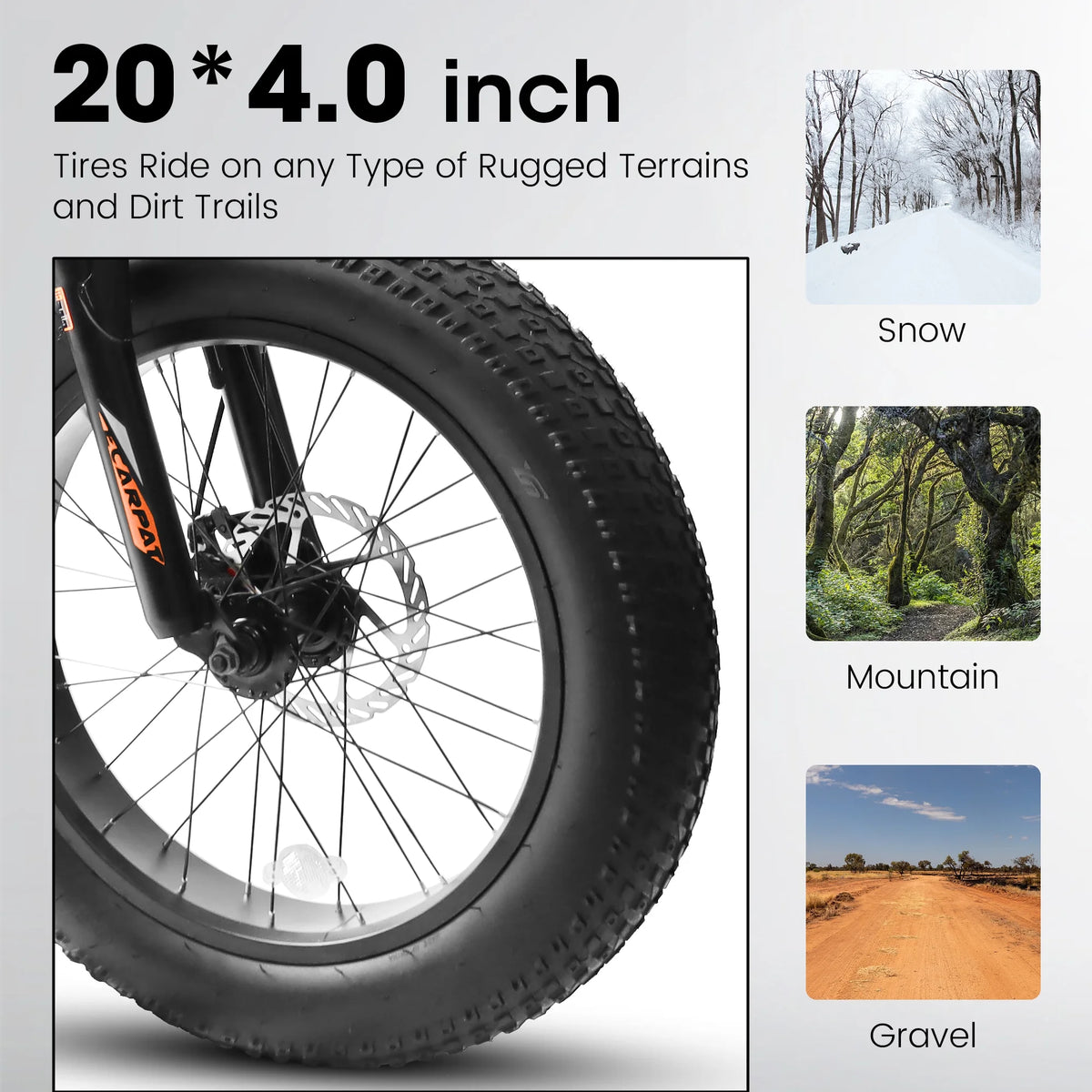 20 Inch Fat Tire Mountain Bike with Dual Disc Brake High-Carbon Steel Frame S771
