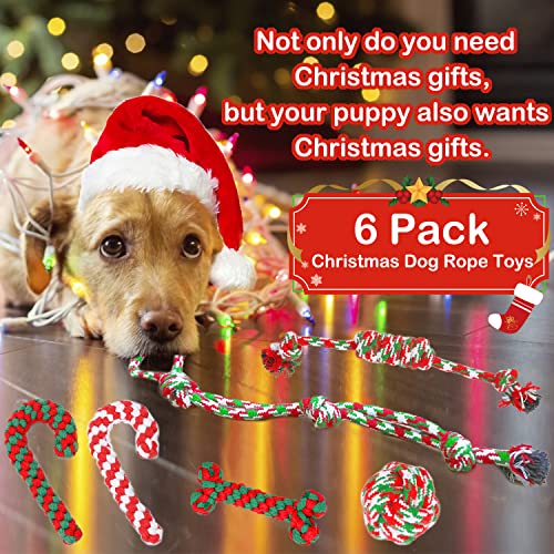 Christmas Dog Rope Toys 6 Pack H11852