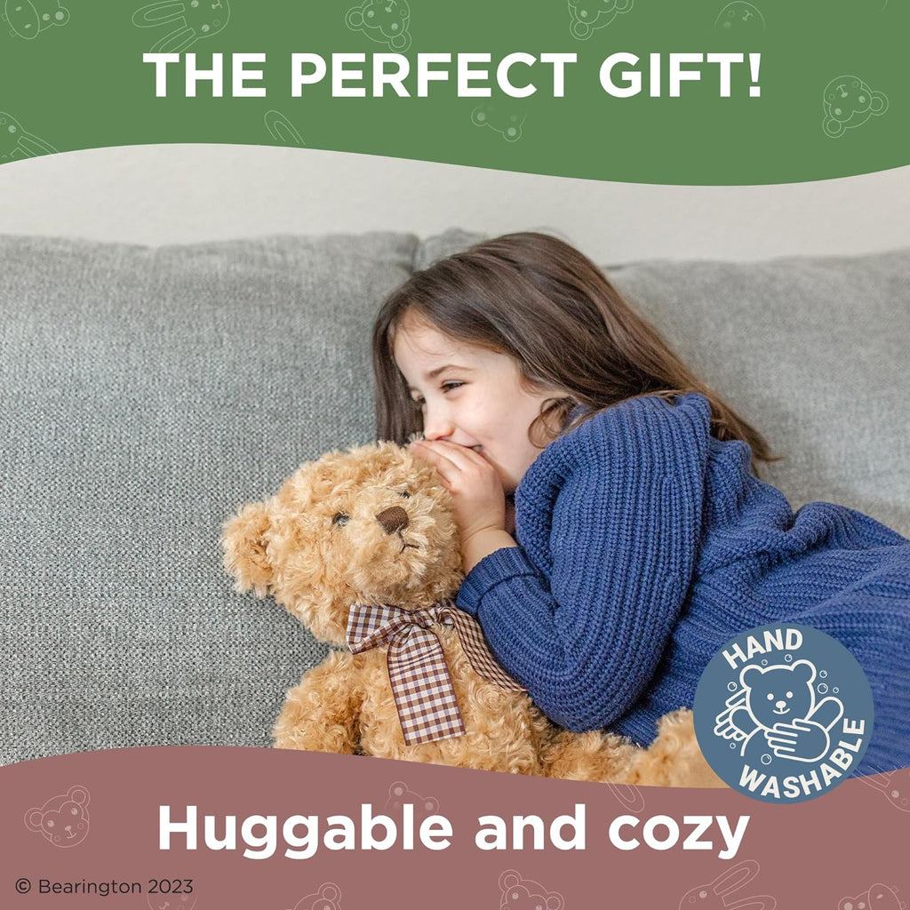 Brown Plush Teddy Bear, 17 inches D598890