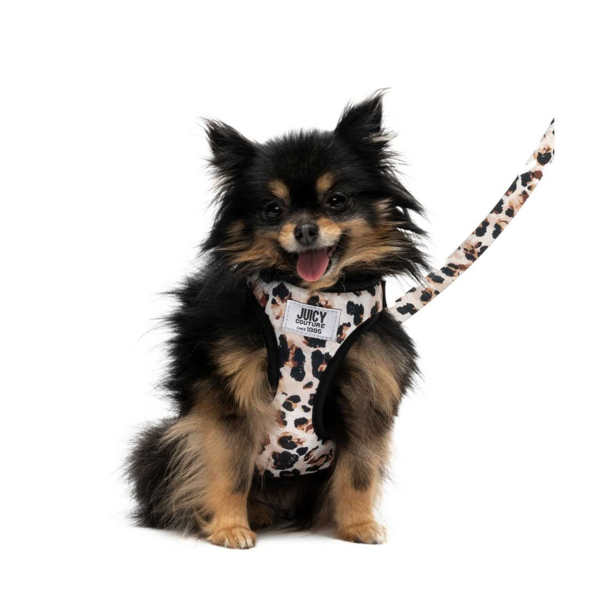 Harness & Leash Set B590450