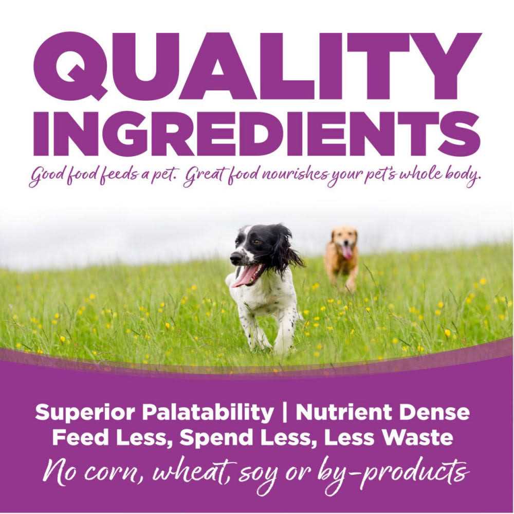 Chicken Rice Large-Breed Puppy Dry Dog Food C113