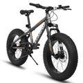 20 Inch Fat Tire Mountain Bike with Dual Disc Brake High-Carbon Steel Frame S771
