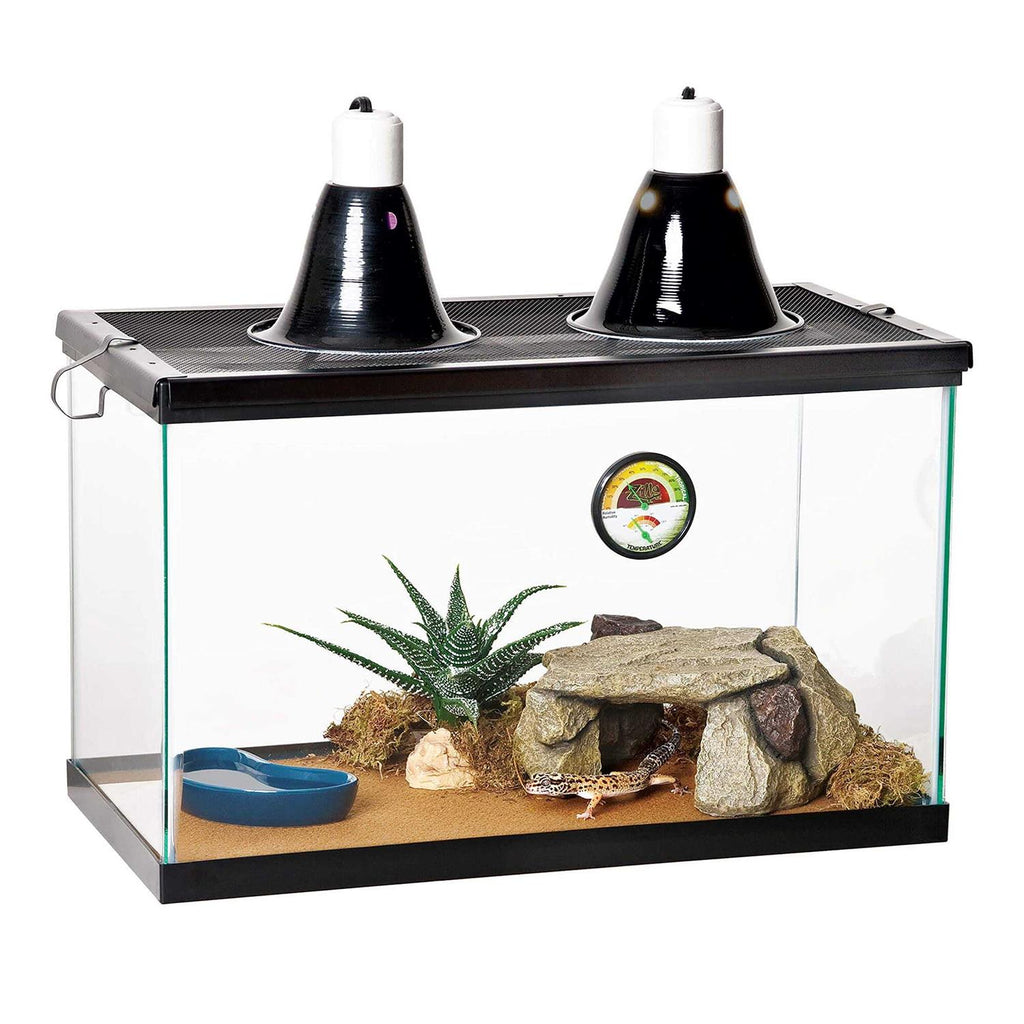 Shale Rock Den R31999