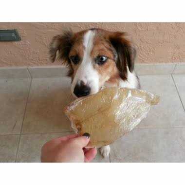 Buffalo Ears for Dogs Z743184