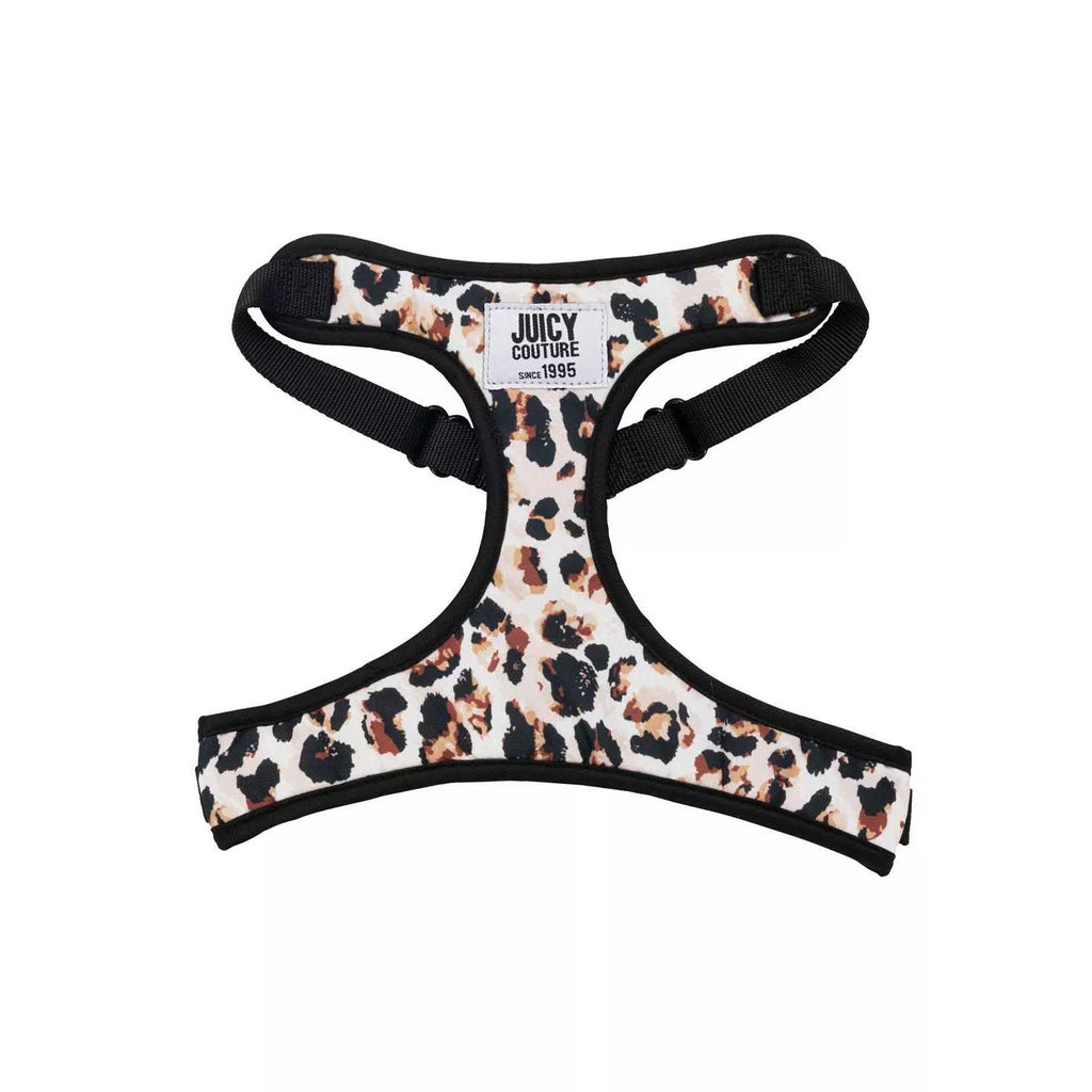 Harness & Leash Set B590450