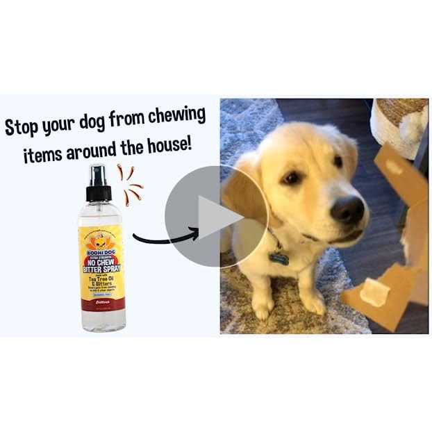 Extra Strength No Chew Bitter Spray H1809