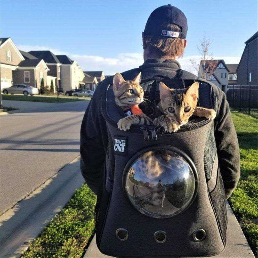 Cat Backpack Z3094
