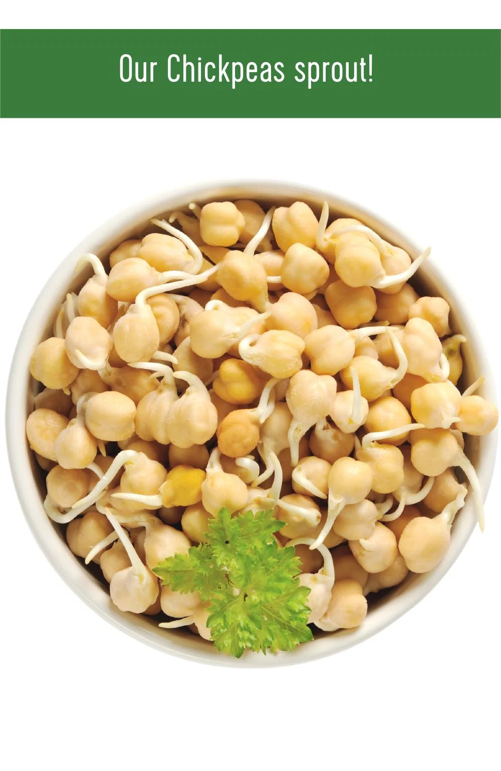 Chickpeas, Lentils and Green Split Peas 75 LBS Q7901