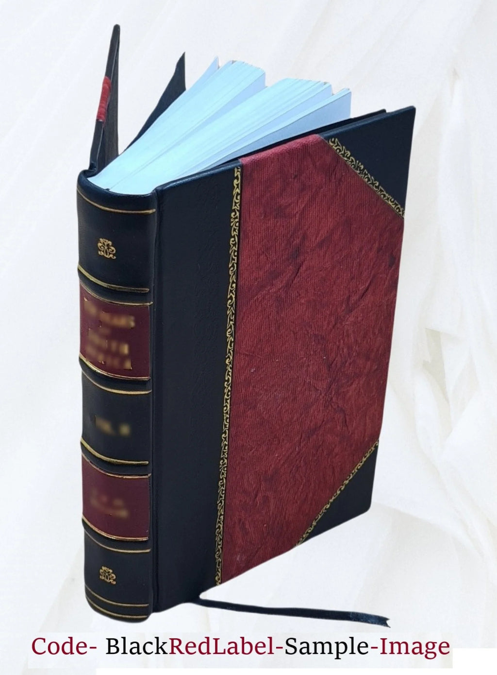 Summa ethicae, siue, introductio in Aristotelis, et theologorum doctrinam moralem P3961