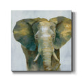 Jade Elephant Gallery Wrapped Canvas M672