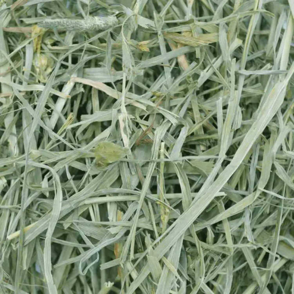Timothy Meadow Hay U665